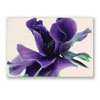 Gru&szlig;karten mit Blumenfoto