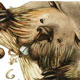 Biber, Illustrationen