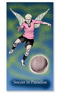 Soccer in Paradise, Geduldspiel mit Metallkugeln