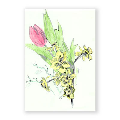 Narzissen mit Tulpe, Grußkarten