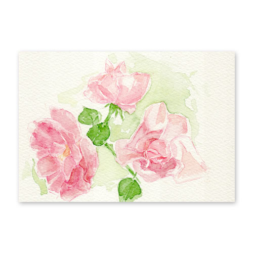 Rosen, Aquarell-Grußkarten