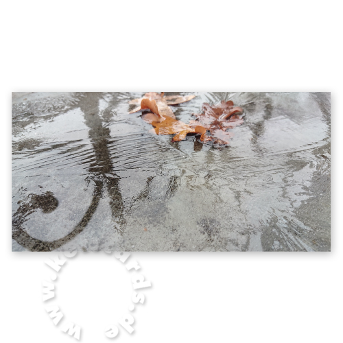 Herbstlaub, Karten für den Trauerfall mit Foto