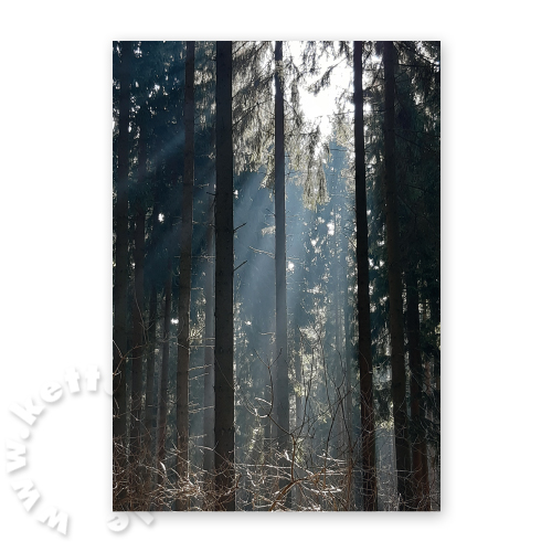 Lichtung, Trauerkarten mit Foto