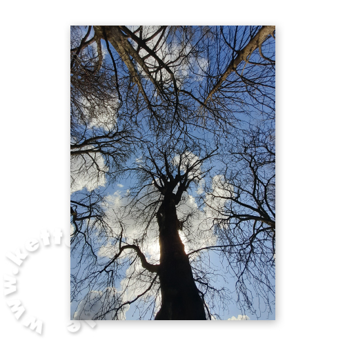 titel, Trauerkarten mit Foto
