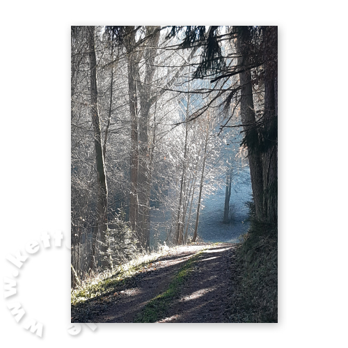 Herbstweg, Trauerkarten mit Foto