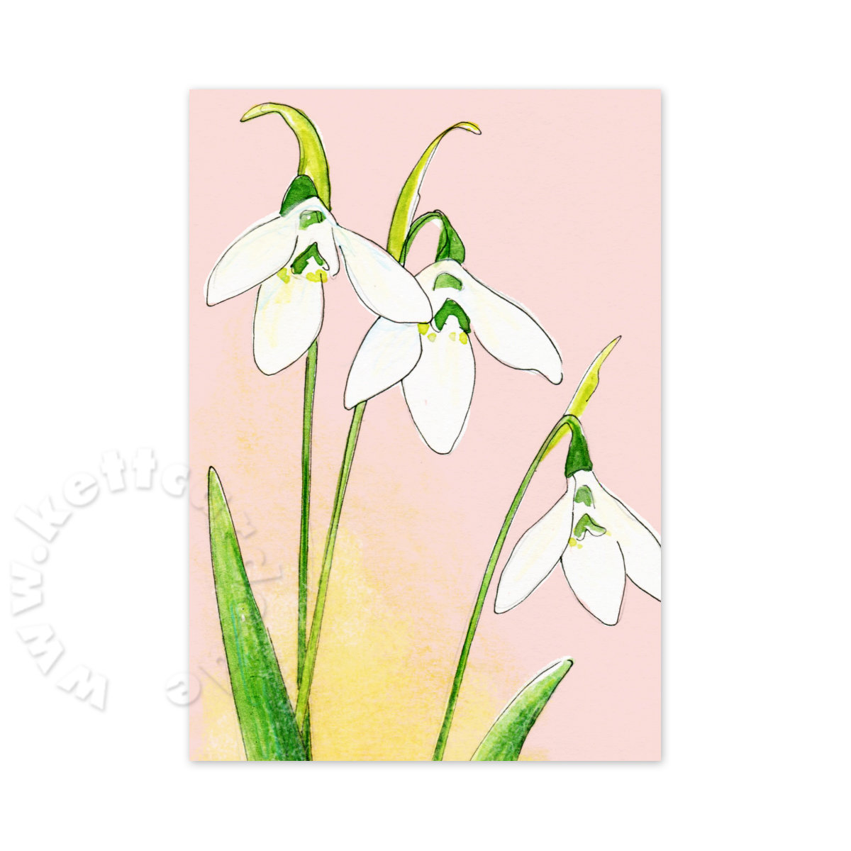 Schneeglöckchen, Osterkarten mit Blumen