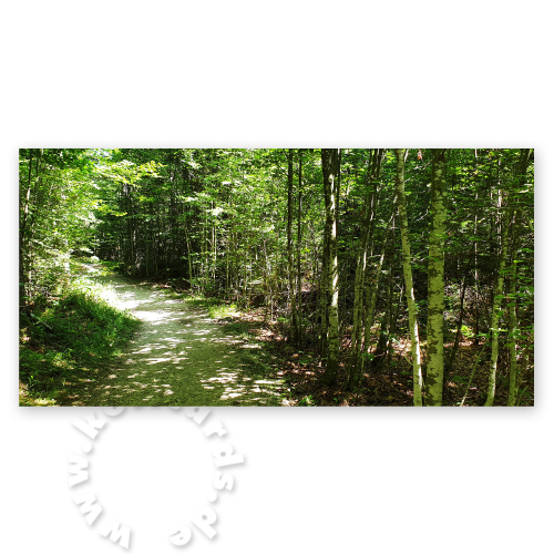 Waldweg, Traueranzeigen mit Foto
