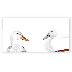 weisses Federvieh, individuelles Design von Hochzeitskarten