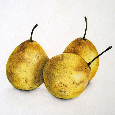 Nashibirnen, realistische Pastell-Malerei, Food