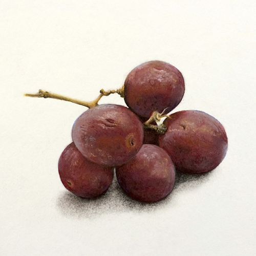 Weintrauben, Stillleben in Pastell