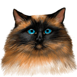 Hypnose, animiertes Bild, Grusskarte