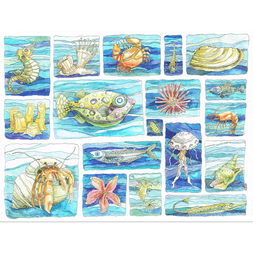 Meeresbewohner: Fische, Krebse, Muscheln, Seepferdchen, Illustrationen