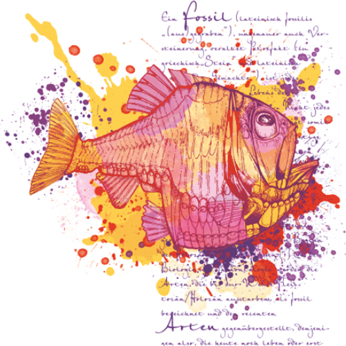fossiler Raubfisch, Illustrationen