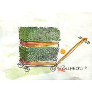 Rollhecke in Istanbul, Illustration