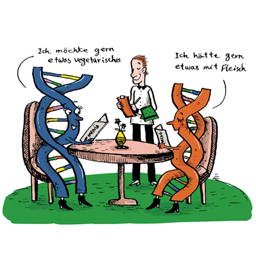 Natur als Vorbild, Graphic Recording bei Events und Messen