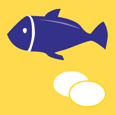 Fisch und Eiweiß, Teil der Ernährungspyramide, Illustrationen