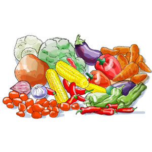 Gemüse, Blumenkohl, Aubergine, Karotten, Mais, Knoblauch, Paprika, Brocolli, Kartoffeln, Zwiebeln, kulinarische Illustrationen
