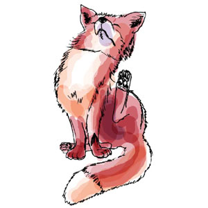 Fuchs, Illustrationen