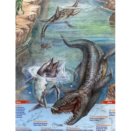 Wassertiere im Jura, wissenschaftliche Illustrationen, realistisch und detailgetreu