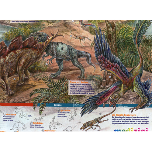 Die frühen Säugetiere / Dinos mit Federn, wissenschaftliche Illustration