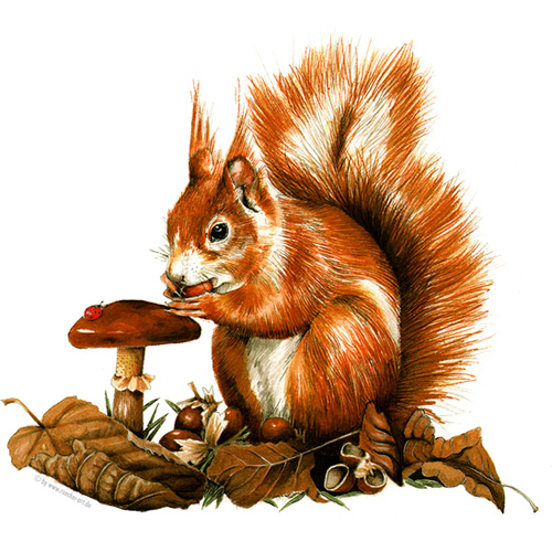Aquarell, Tier-Illustrationen