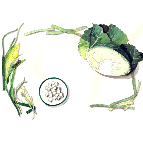 Rahmwirsing, Food-Illustrationen