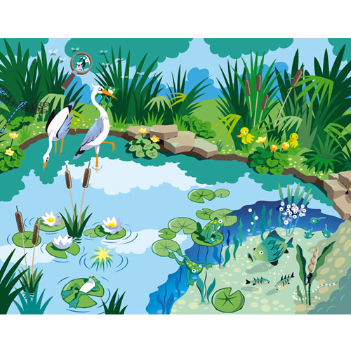 Illustration einer Teichsituation für Klassewasser.de, Illustrator für Wimmelbilder