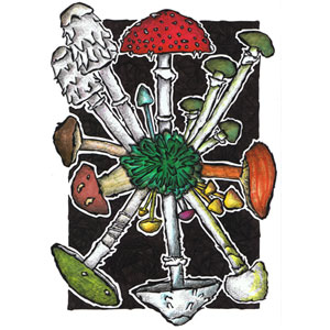 pilze, handgezeichnete illustrationen