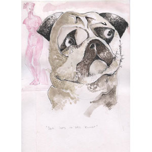 Hund, Illustrierte Geschichten, Buch- und Kartengestaltung