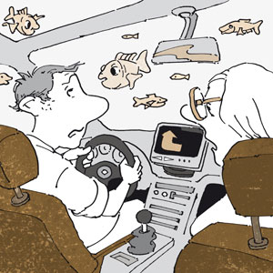Das neue Navi, Karikaturen und Cartoons