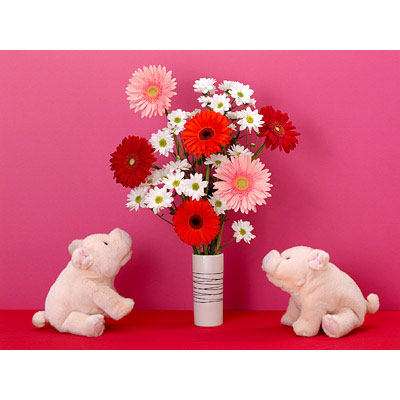 Viel Schwein und schöne Blumen! inszenierte Photographie - kitschig, bunt und hintergründig