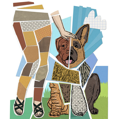 Promenadenmischung, Illustrationen mit Hunden