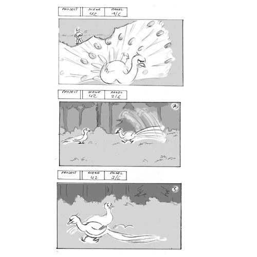 Rough Storyboard, Storyboard