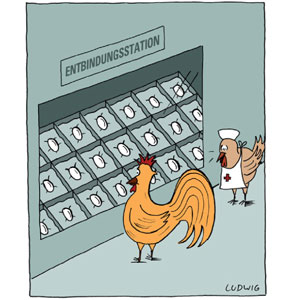 Na, erkennen Sie Ihr Ei? Cartoon zum Vaterglück