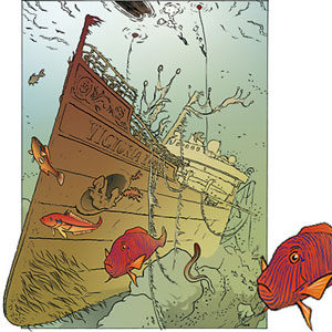 Wrack, Comic und Cartoon