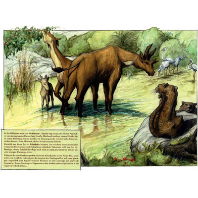 Naturbilder aus der Vorzeit, Tierillustrationen