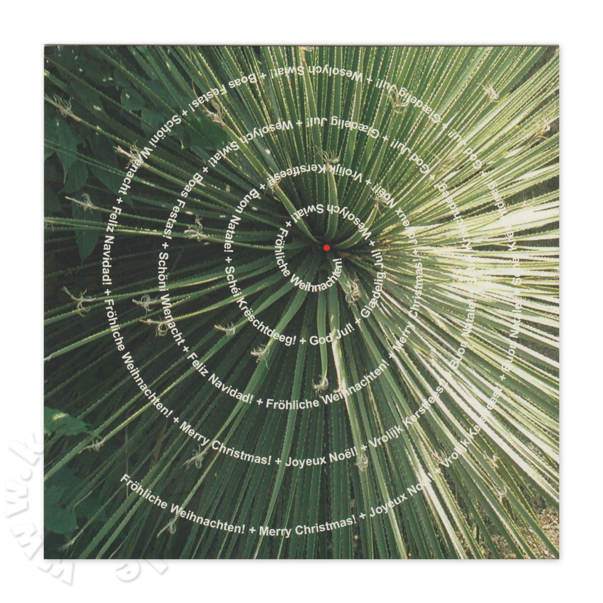 Spiralweihnachtsbaum, originelle Weihnachtspostkarten