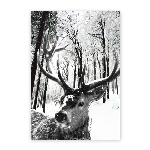 Winter im Wald, Weihnachtskarten