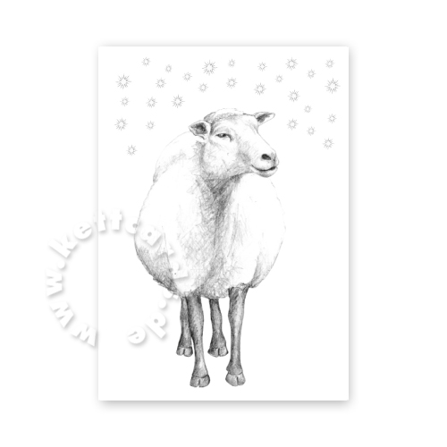 Schaf, Weihnachtskarten mit Tieren