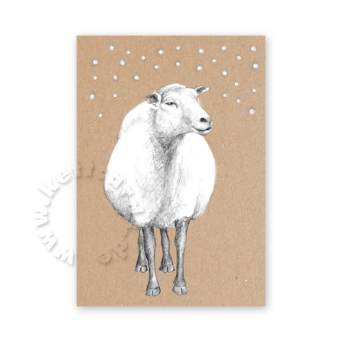 Schaf (vor der Krippe), Weihnachtskarten