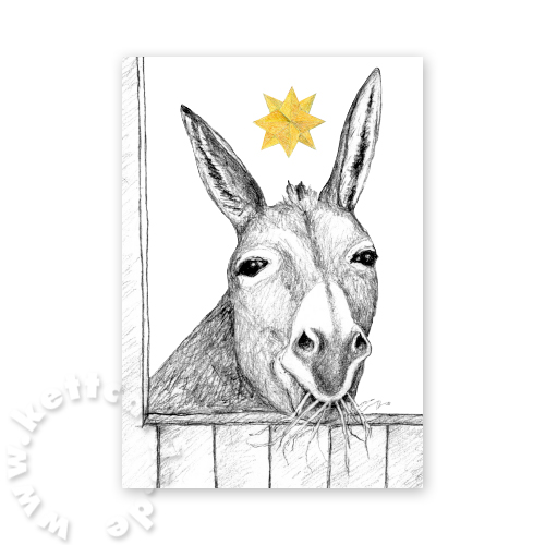 Esel (mit Weihnachtsstern), Weihnachtskarten aus Betlehem