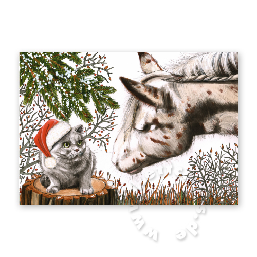 Lilly und das Weihnachtswunder, Weihnachtskarten mit Katze und Pferd