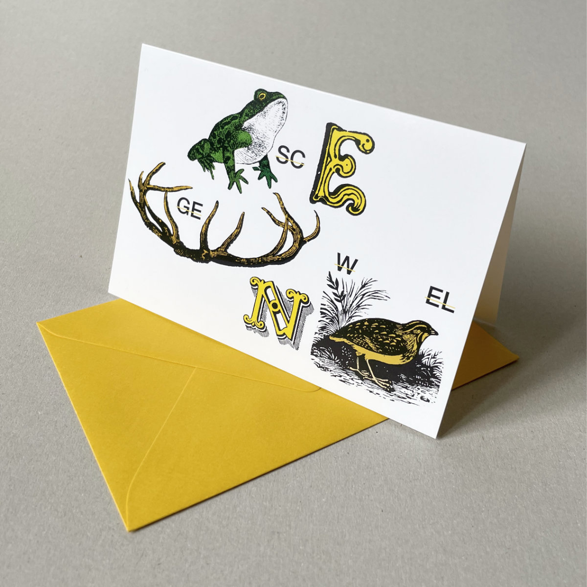 Frosch und Wachtel, Bilderrätsel-Weihnachtskarten mit farbigen Umschlägen