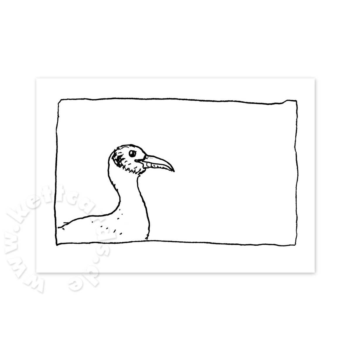 Möwe, maritime Weihnachtskarten