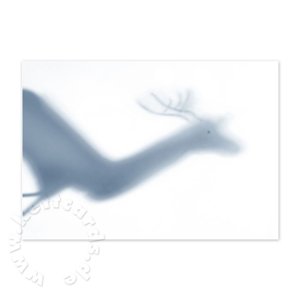 Winterschatten, Weihnachtskarten für Firmen