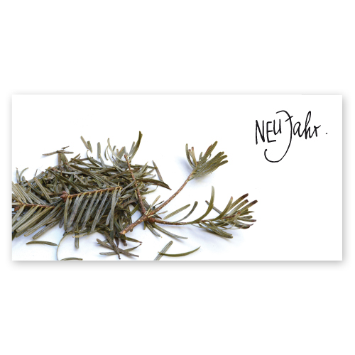 NeuJahr, witzige Neujahrskarten