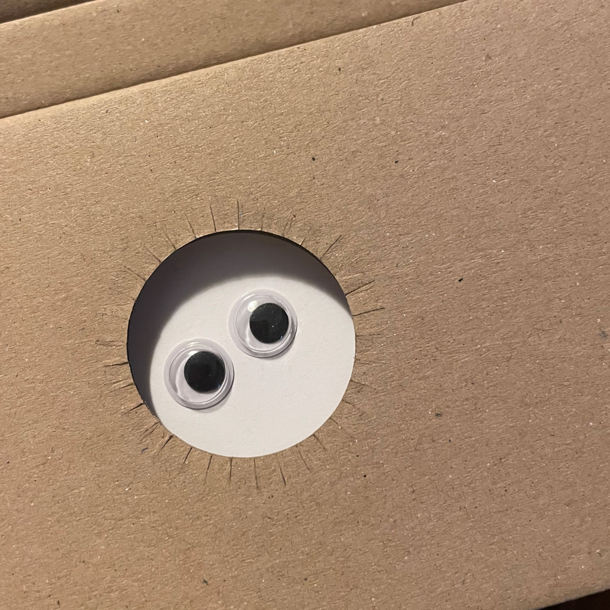 originelle Weihnachtskarten mit Wackelaugen