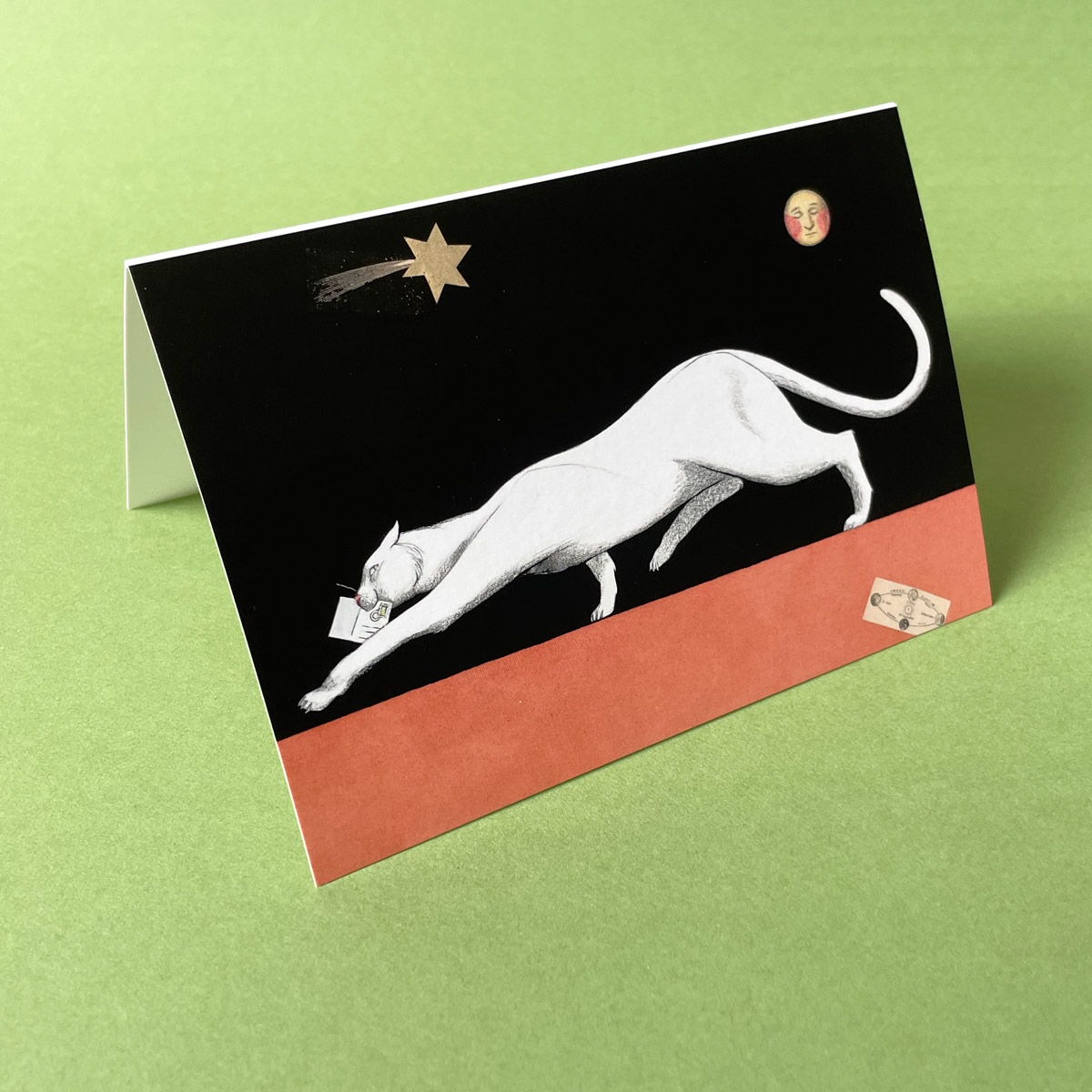 Weihnachtspost, Weihnachtskarten mit eleganter Katze