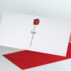 Doppelkarten mit einer roten Rose