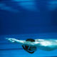 swimmer, Unterwasserfotografie